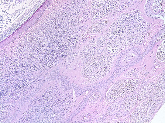 UNC241A-C02.jpg