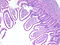 C05