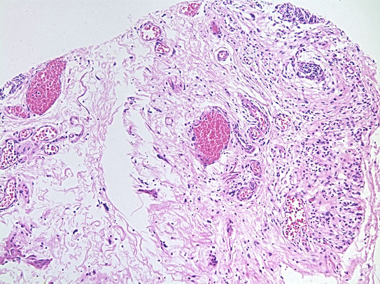 UNC241A-C02.jpg