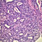 G05