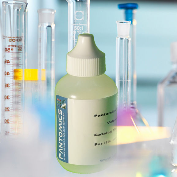 Thumbnail: Diluent for Antibody (Phosphate-based, pH7.4)-