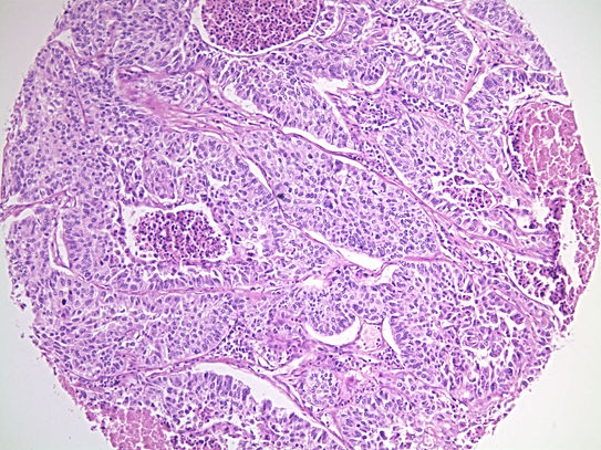 UNC241A-C02.jpg