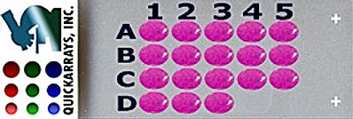 6x9.jpg