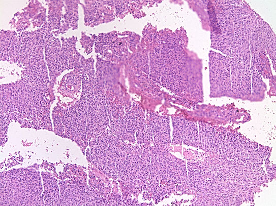 UNC241A-C02.jpg