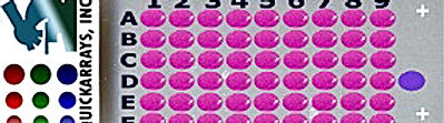 6x9.jpg