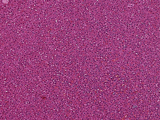 UNC241A-C02.jpg