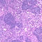 H05
