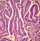 C01