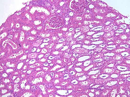 UNC241A-C02.jpg