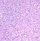 C01