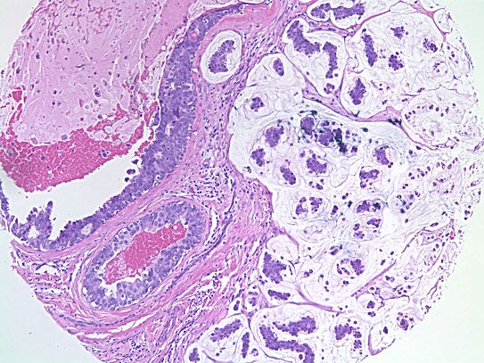 UNC241A-C02.jpg