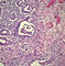 H01