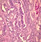 E01