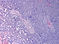 C01