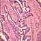 I02