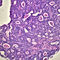 H05