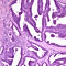 A05