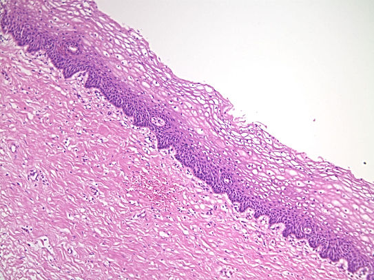 UNC241A-C02.jpg
