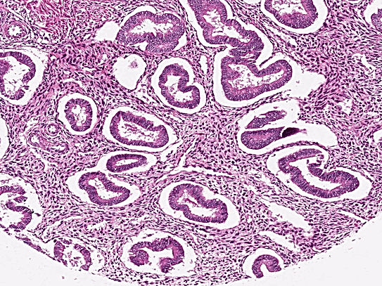 UNC241A-C02.jpg