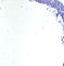 G01