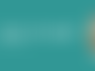 Fractional Chief of Staff Palm Beach County: Reclaim Your Time Without Adding to Your Payroll