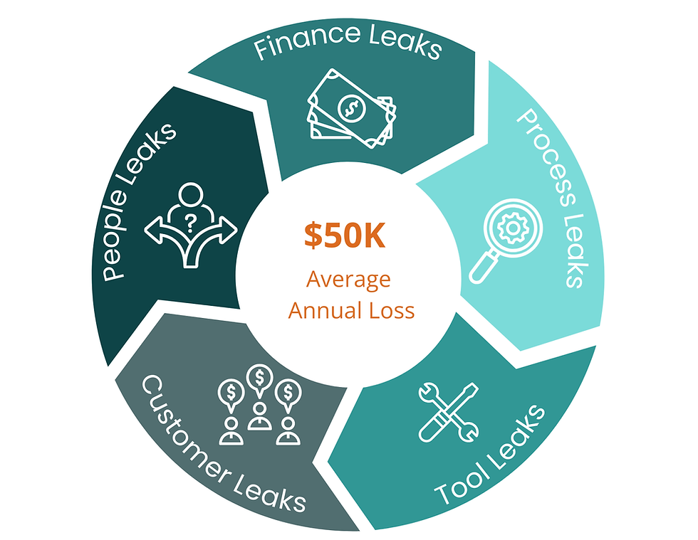 Free checklist audit for small business that shows where their business is bleeding so they can stop the leaks.