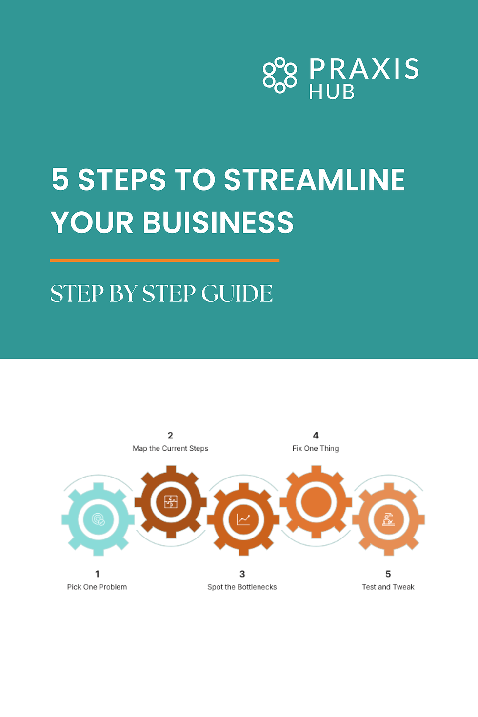 Praxis Hub guide titled "5 Steps to Streamline Your Business," with icons illustrating each step. Turquoise background, white text.