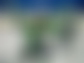 Madhatters Head North for Weekend Clash with Elmira Impact