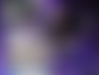 Wolves NCDC Set for Presidents Day Spotlight in Foxboro