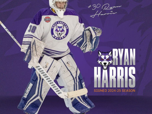 Ryan Harris Impresses in Wolves NCDC Debut with Win Over WBS Knights