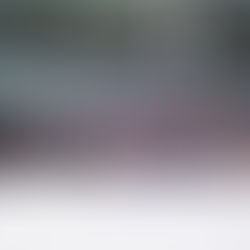 Sports Marketing and Business Internship