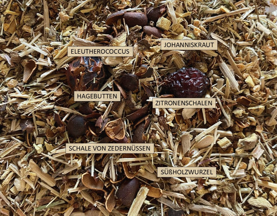 Zutaten von Kräuterschnaps mit Ginseng