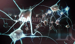 Biofeedback - Happiness.PNG