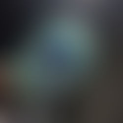 クジャクの羽根も羽根だわ