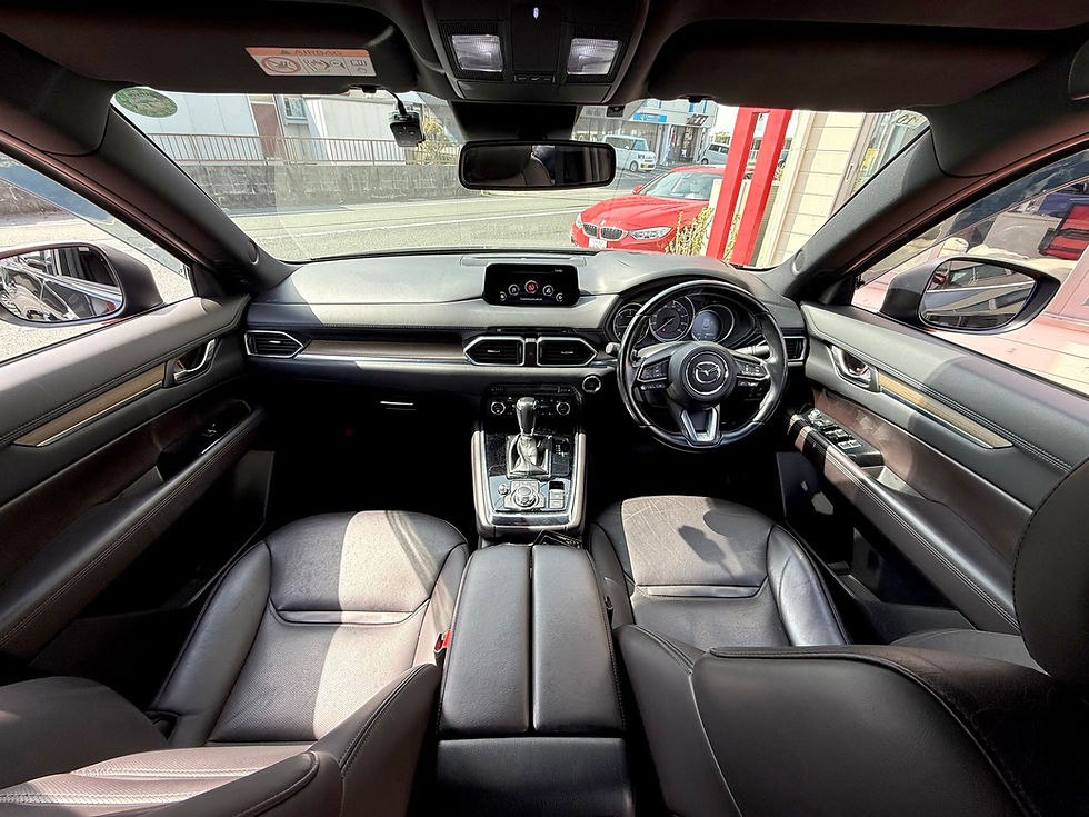Miniatura: MAZDA CX-8 XD-L PKG