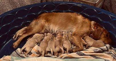 ARIEL LITTER nov 2025.jpg