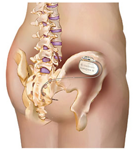 Screenshot 2025-06-14 at 9.56.39 AM.png