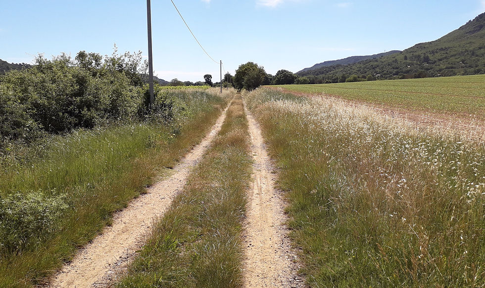 Train des Pignes