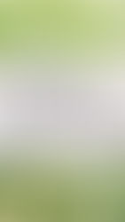 Dissecting Love: Patience