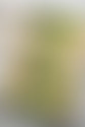 Florida Seasoned Pepper Tofu Sheet Pan Dinner