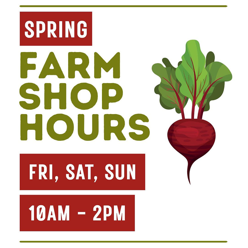 SPRING HOURS (Instagram Post).jpg
