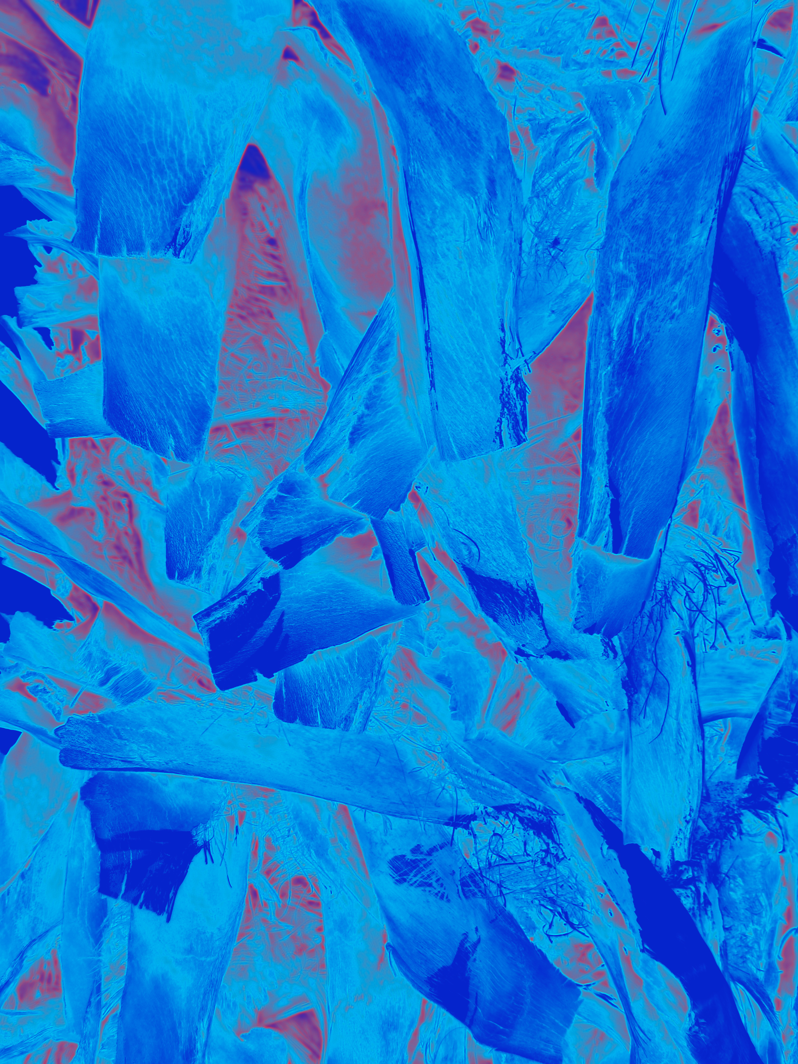 Bark I