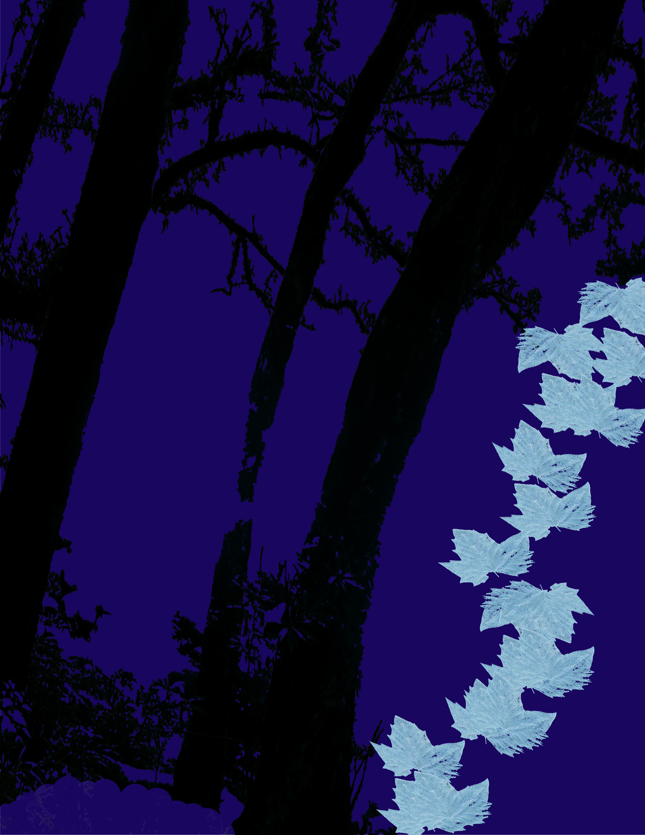 Leafs VI
