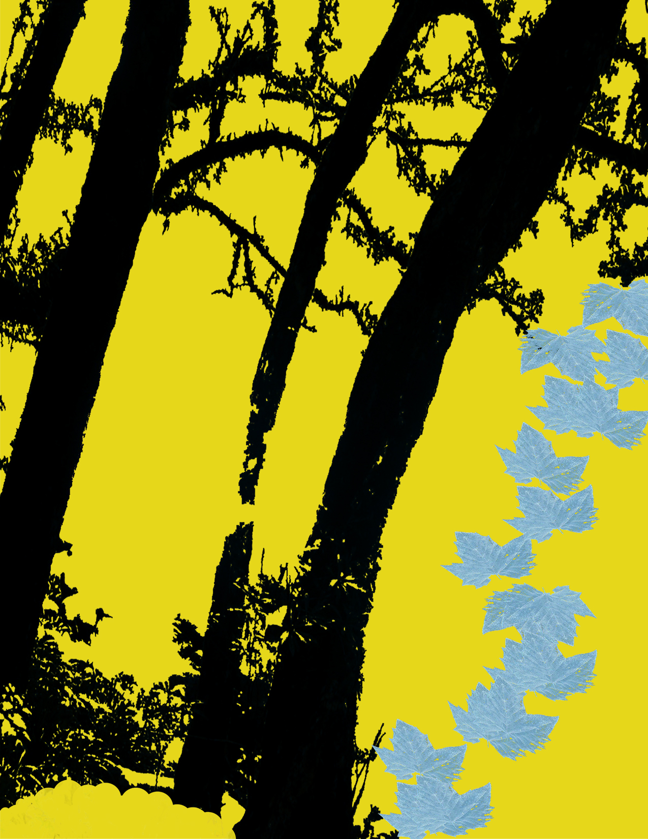 Leafs III