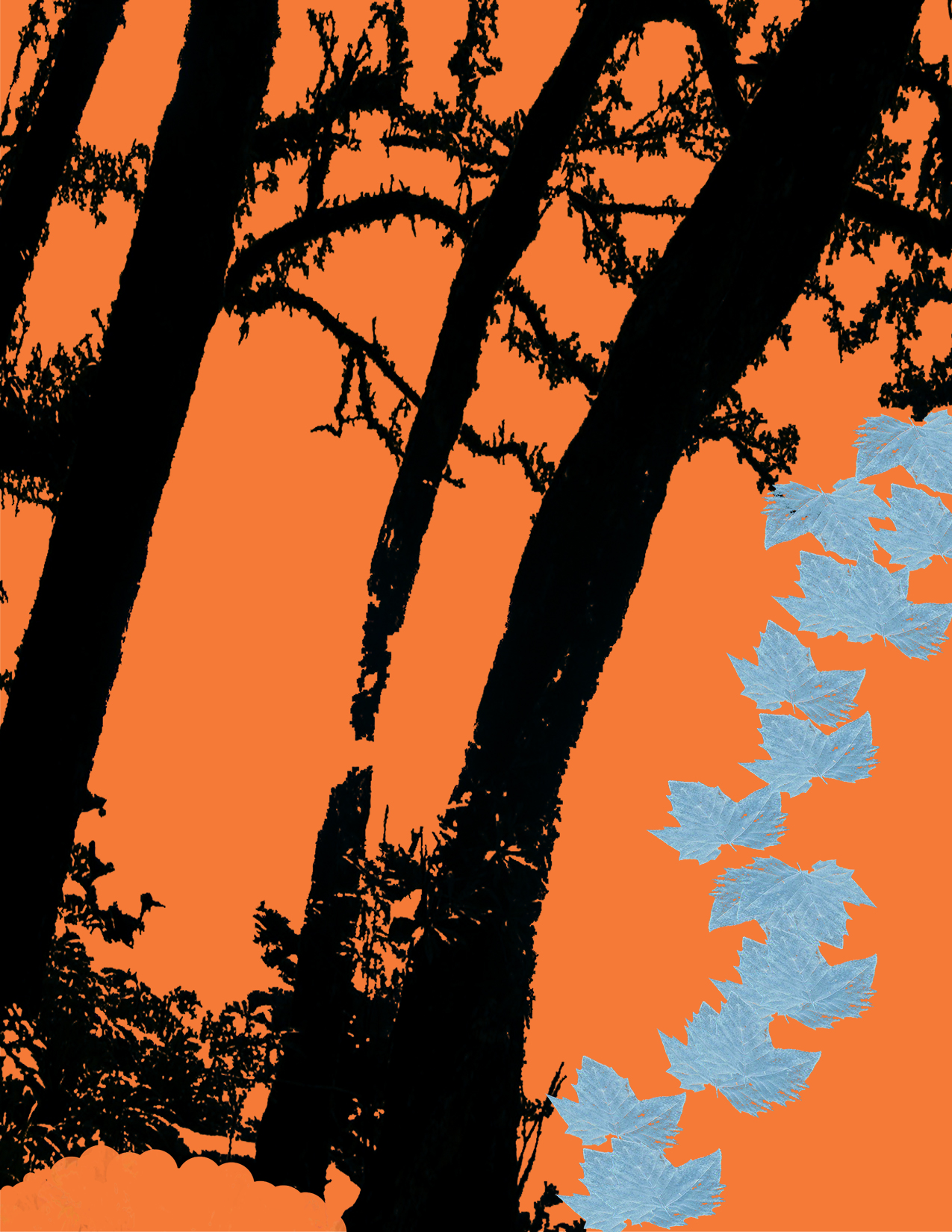 Leafs IV