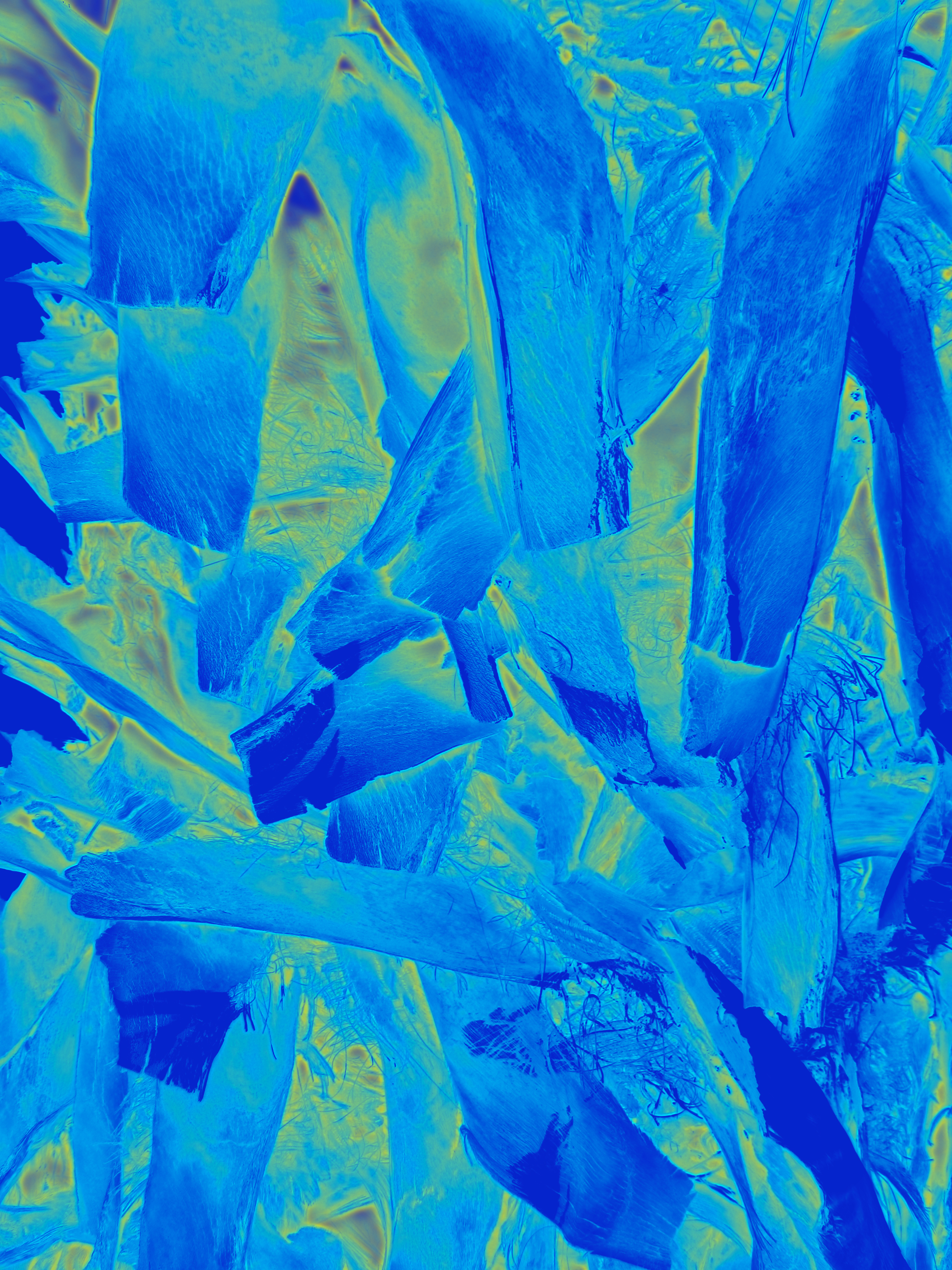 Bark II