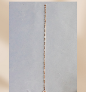 1 (1).PNG