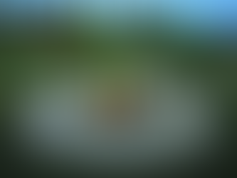 Haz crecer tu comunidad de Blog