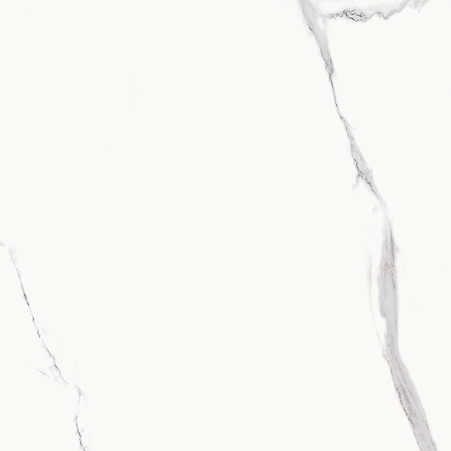 Bien Statuario Goya Tile (60x60 cm | 24''x24'')