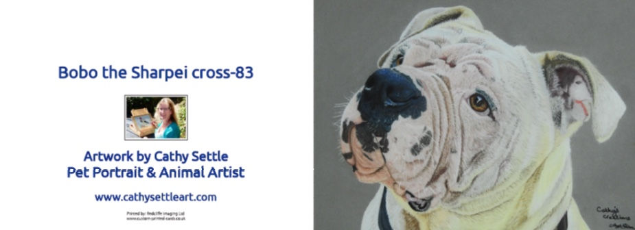 Thumbnail: Bobo the Sharpei cross greetings card.